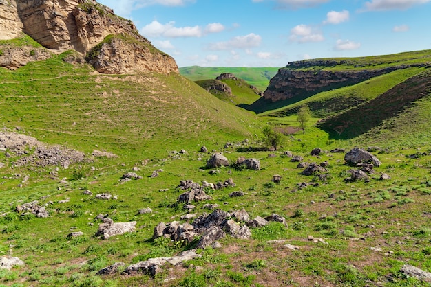 Paisagem verde com um fragmento de desabamento de rocha