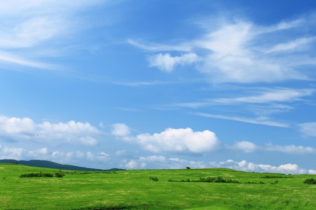 Paisagem verde contra o céu nublado