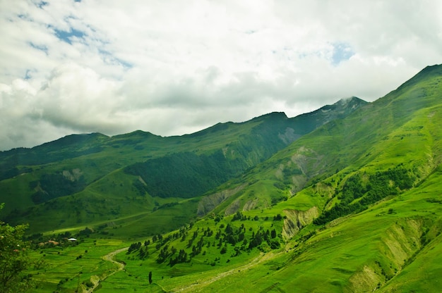 Paisagem verde das montanhas do Cáucaso na Geórgia, fundo natural