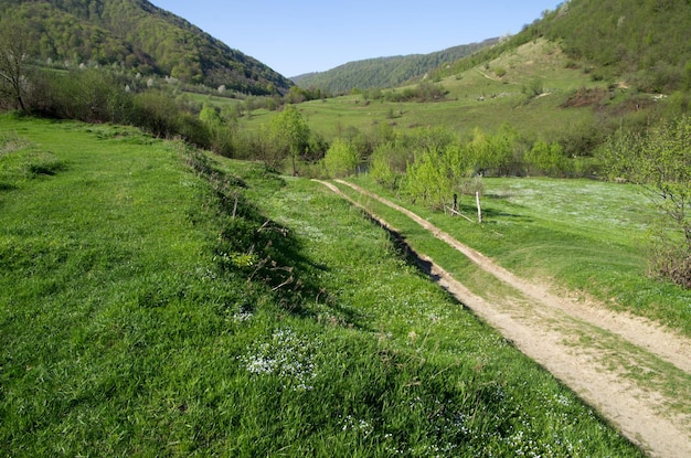 Paisagem verde no alto das montanhas