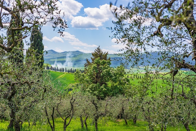 Paisagem verde única e cordilheira cultivada na Toscana, Itália