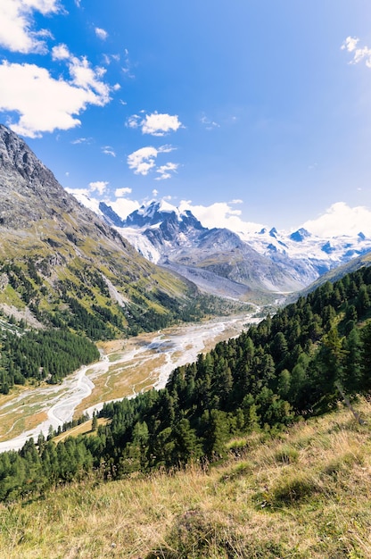 Paisagem vertical no vale de Roseg Engadine