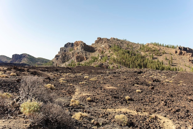 Paisagem vulcânica das ilhas canárias espanha