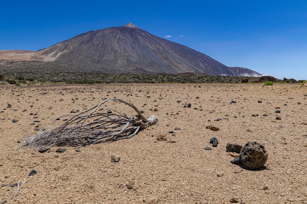 Paisagem vulcânica do Parque Nacional de Teide, com galhos secos na superfície árida, Tenerife, Ilhas Canárias, Espanha