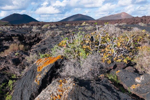 Paisagem vulcânica do Parque Nacional de Timanfaya, na ilha de Lanzarote, Ilhas Canárias, Espanha