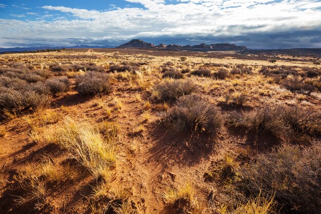 Paisagens americanas - pradaria na temporada de outono, utah, eua.