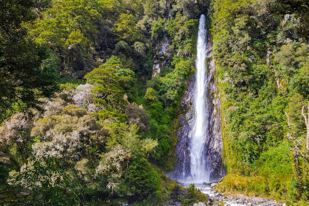 Paisagens da cachoeira da Ilha do Sul entre a vegetação da Ilha do Sul, Nova Zelândia