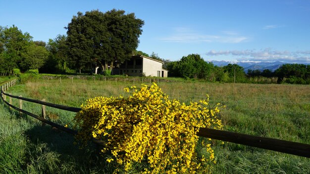 Paisagens da Garrotxa