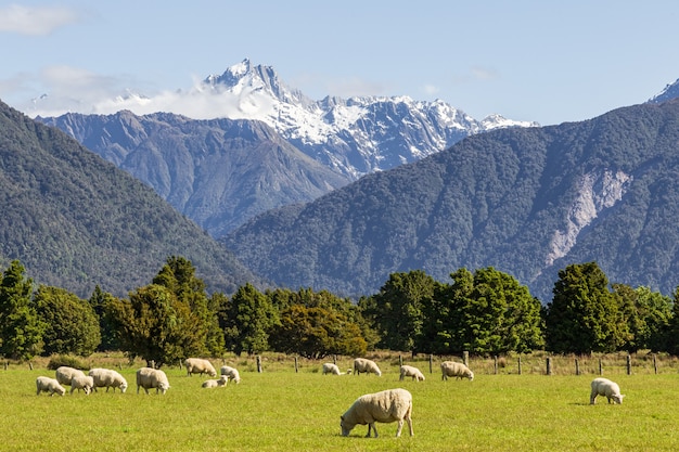 Paisagens da Ilha do Sul, Alpes do Sul, Nova Zelândia