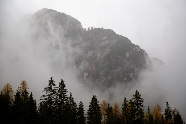 Foto paisagens de montanha cobertas na selva