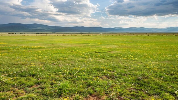 Paisagens de Área Expansiva