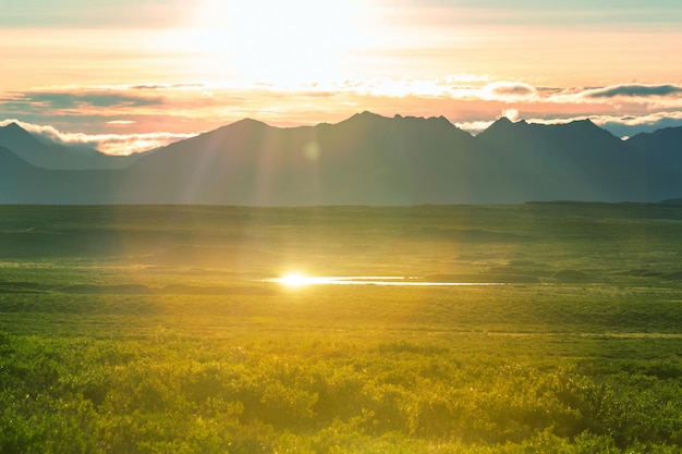 Paisagens de tundra acima do círculo ártico