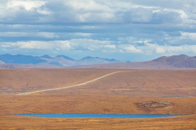 Paisagens de tundra acima do Círculo Ártico na temporada de outono Belo fundo natural