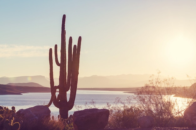 Foto paisagens do arizona, eua