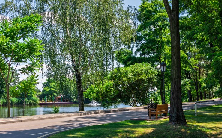 Foto paisagens do parque na residência mezhyhirya, kiev, ucrânia, em um dia ensolarado de verão