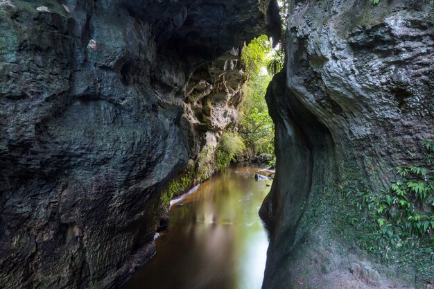 Paisagens incomuns em cavernas na nova zelândia