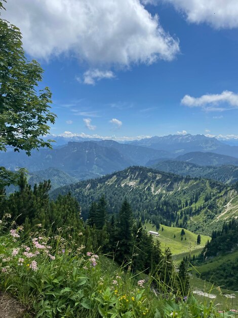 Foto paisagens - natureza em reit im winkl