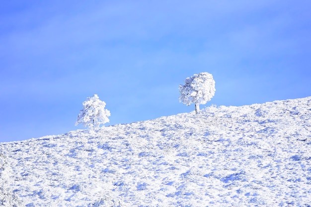 Paisagens nevadas do interior de granada espanha