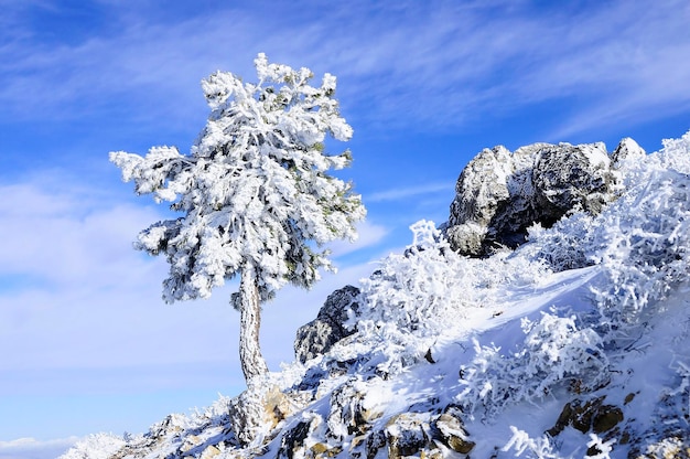 Paisagens nevadas do interior de granada espanha