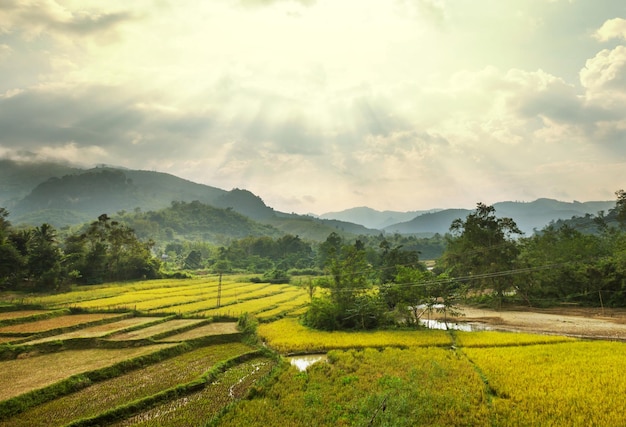 Paisagens no Laos