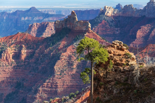 Paisagens pitorescas do Grand Canyon