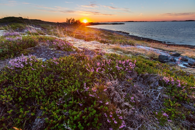 Paisagens pitorescas do norte da noruega