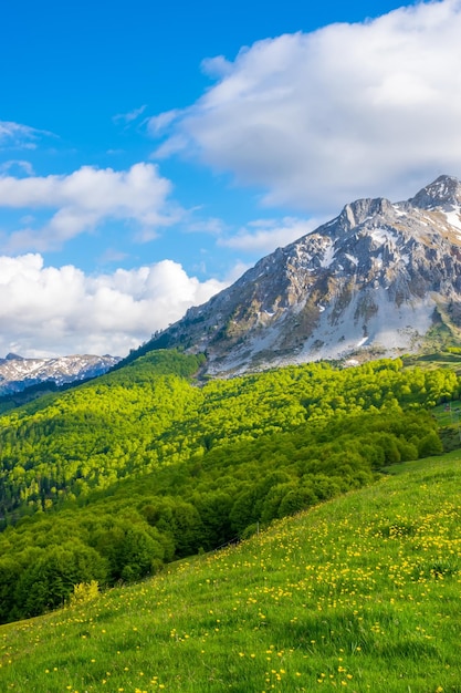 Paisagens pitorescas nas montanhas de Komovi Montenegro