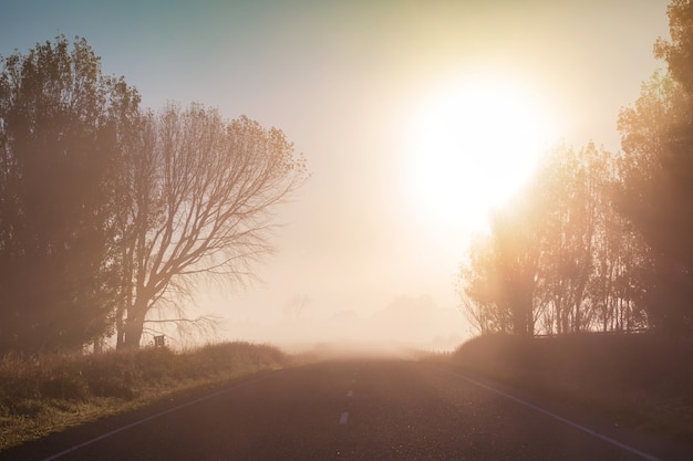 Paisagens rurais enevoadas incríveis pela manhã. Bela natureza da Nova Zelândia