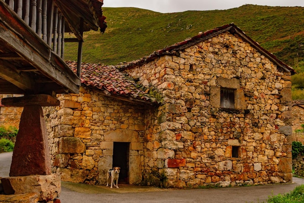 Foto paisagens rurais no interior das astúrias