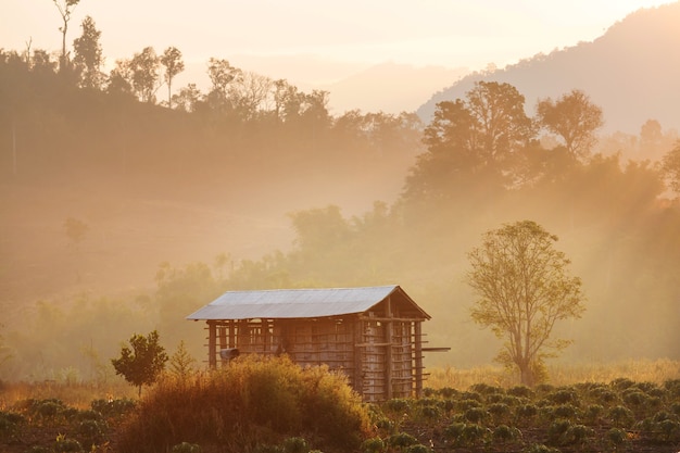 Paisagens rurais no norte da Tailândia