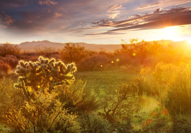 Paisagens sobre o subúrbio de Tucson.