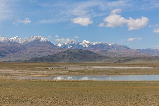 Paisagens típicas da mongólia. encostas de montanhas e vales. altai, mongólia