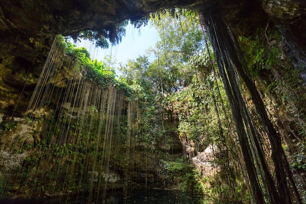 Paisagens tropicais naturais incomuns - Ik-Kil Cenote, México