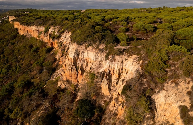 Paisaje de acantilado cubierto de bosque.