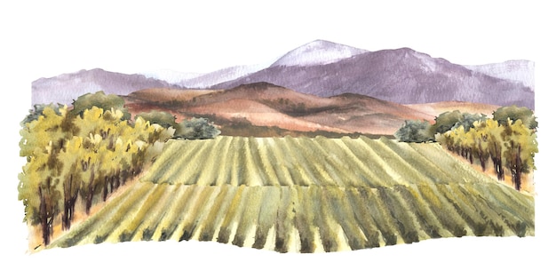 Paisaje de acuarela con viñedos arbustos colinas y montañas paisaje rural granja vitivinícola
