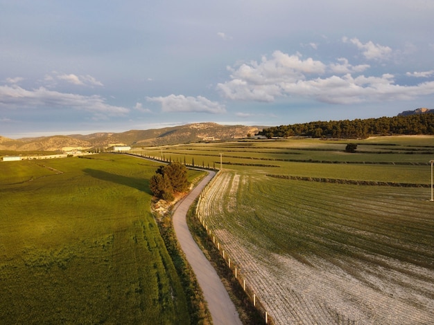 Foto paisaje aéreo de campos de trigo