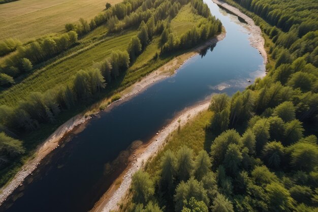 Paisaje aéreo río salvaje en verano vista de dron vista superior