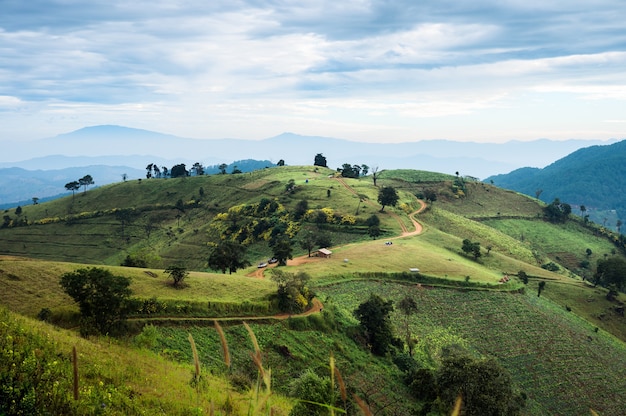 Paisaje agrícola de pastos verdes y cielo azul en el campo en Doi Mae Tho