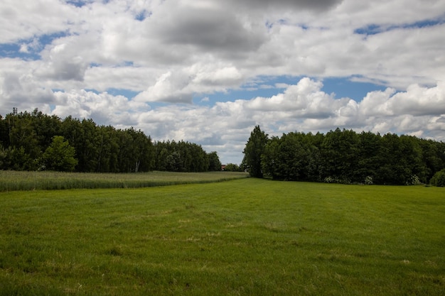 paisaje agrícola en Polonia en un día de verano