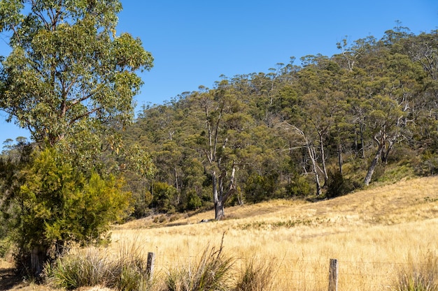 Paisaje agrícola seco caliente en Australia sequía en una granja con suelo desnudo