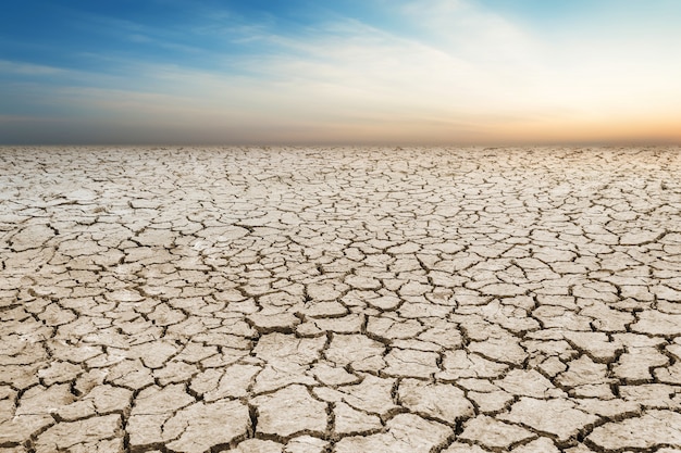 Foto paisaje agrietado suelo, tierra desierto terreno con cielo