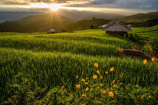 Paisaje al atardecer en las montañas del norte de Tailandia.