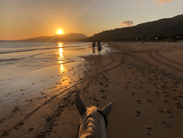 paisaje al atardecer en la playa a caballo