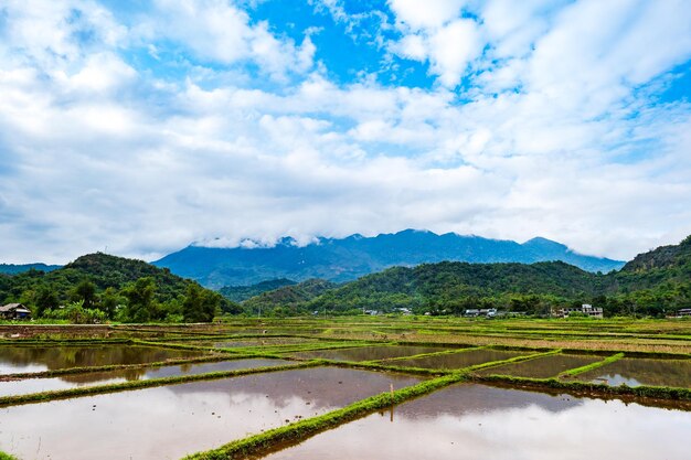 Paisaje de la aldea de Mai chau con campos de arroz en Vietnam