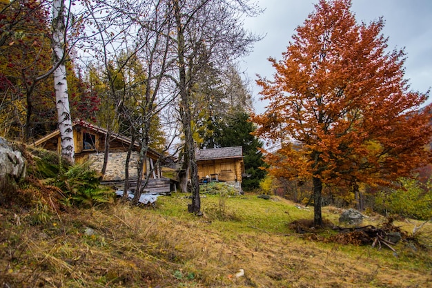 Paisaje de los alpes franceses en otoño