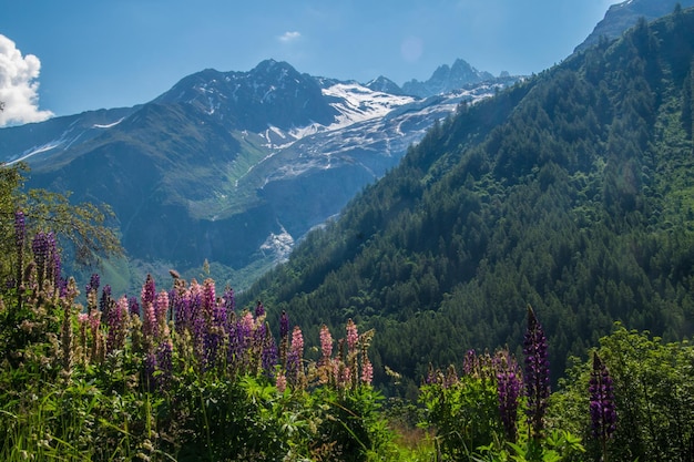 paisaje de los alpes franceses