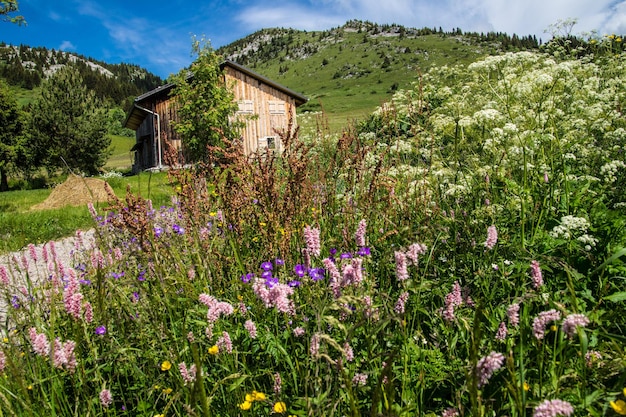 paisaje de los alpes franceses