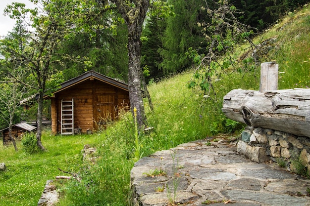 paisaje de los alpes franceses