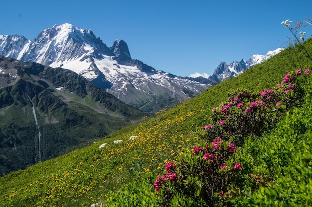 paisaje de los alpes franceses