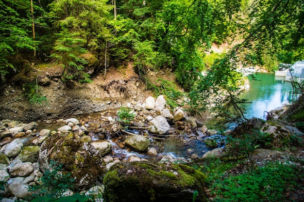 paisaje de los alpes franceses